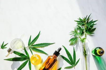 Cannabis-against-stress-and-depression Clement Niel - Chocolatier