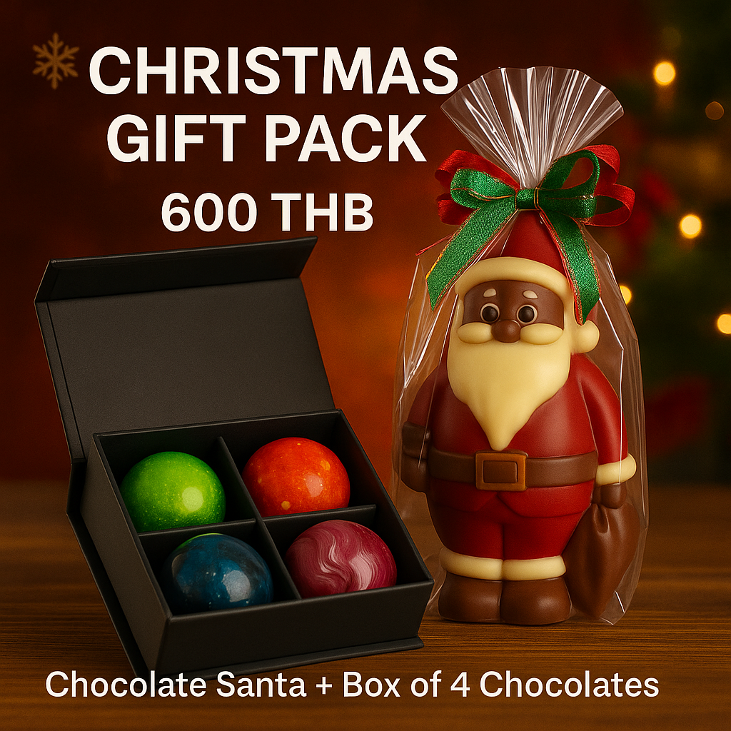 Christmas Gift Pack Chocolate Santa Handcrafted Clement Niel - Chocolatier